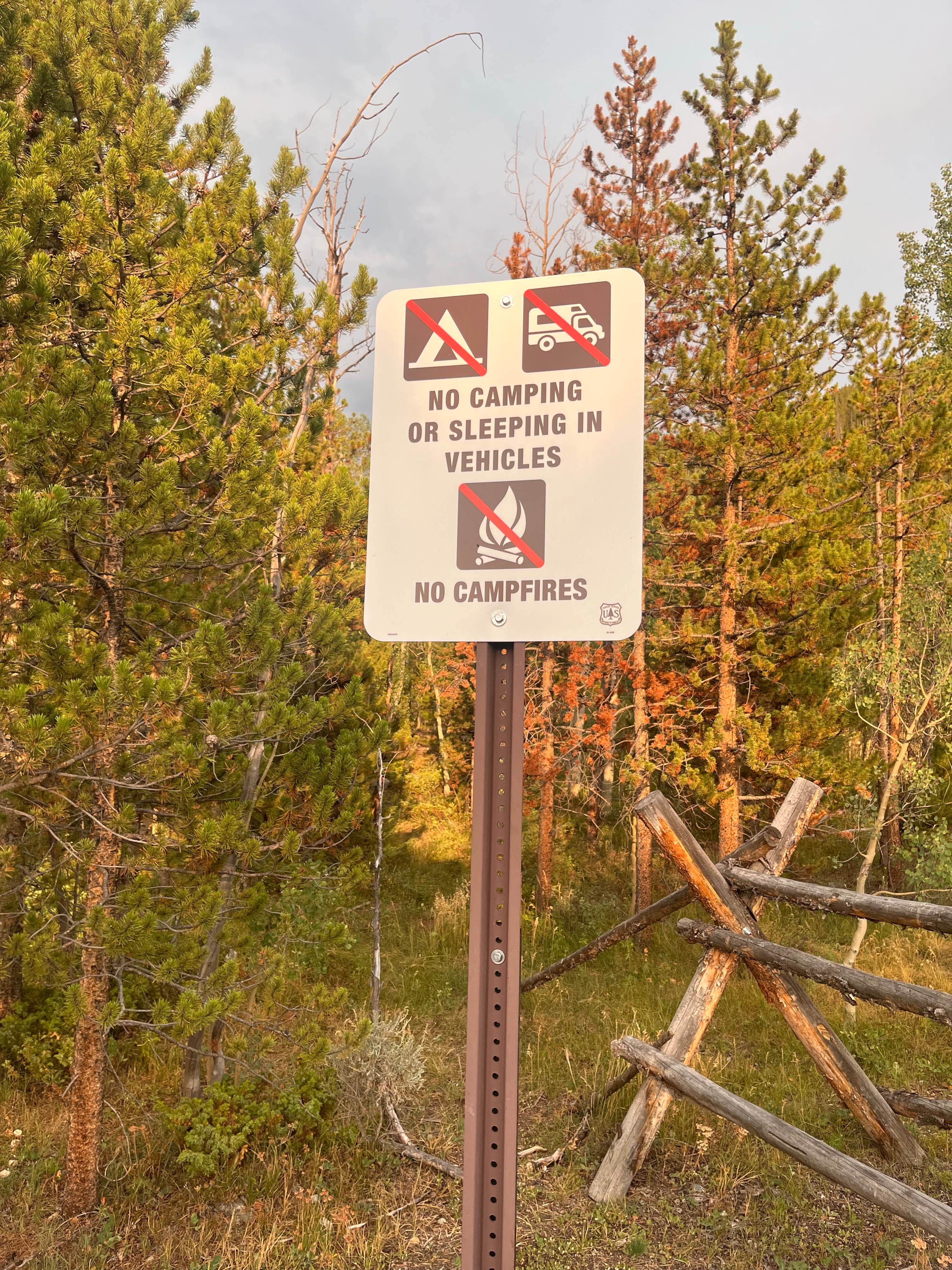 Signs & Maps