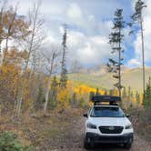 Review photo of Miners Creek Rd Designated Dispersed Camping by Vinny D., October 1, 2025