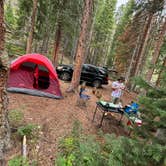 Review photo of Miners Creek Rd Dispersed Camping by Christopher F., June 7, 2025