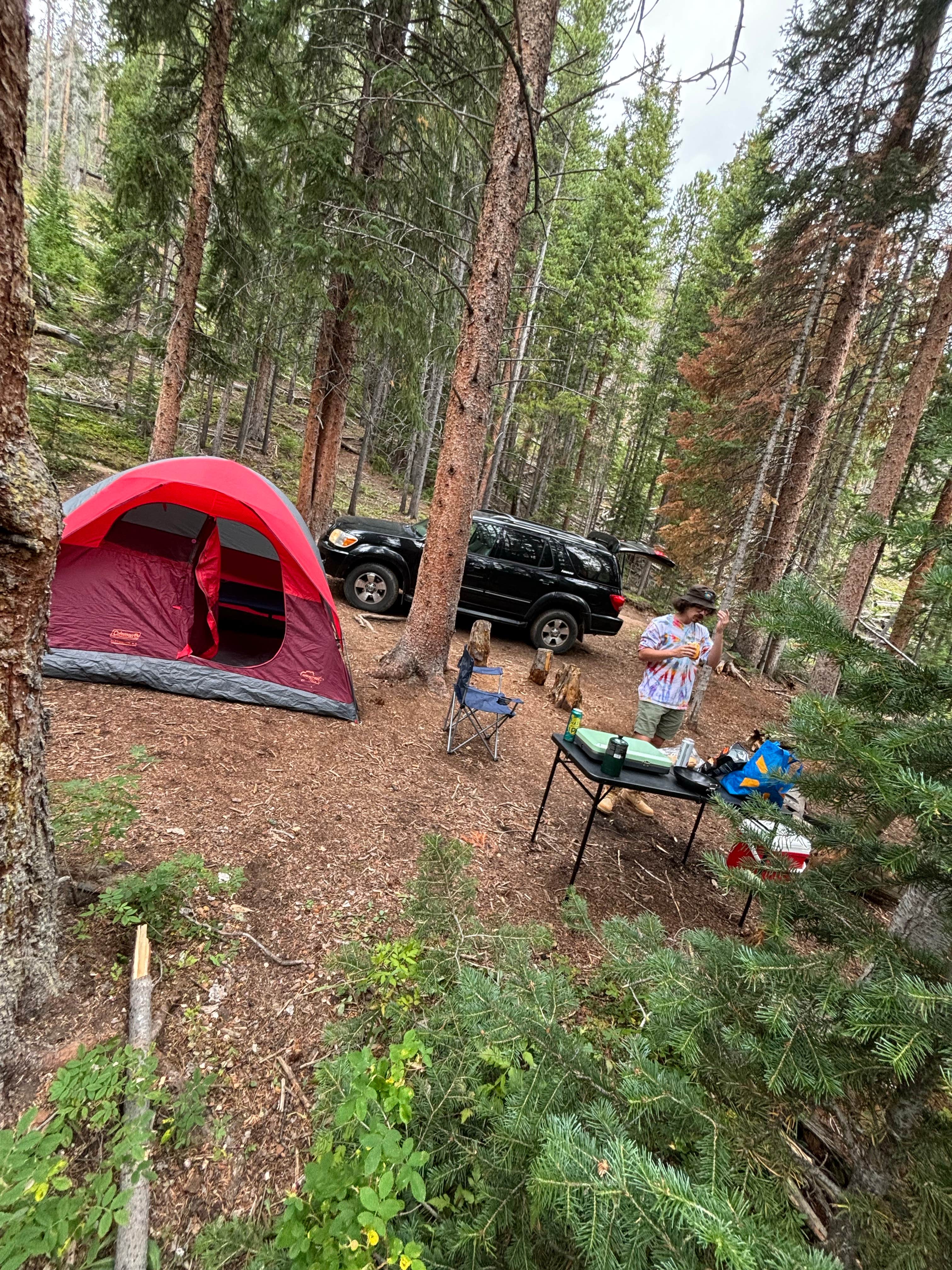 Camper submitted image from Miners Creek Rd Dispersed Camping - 3