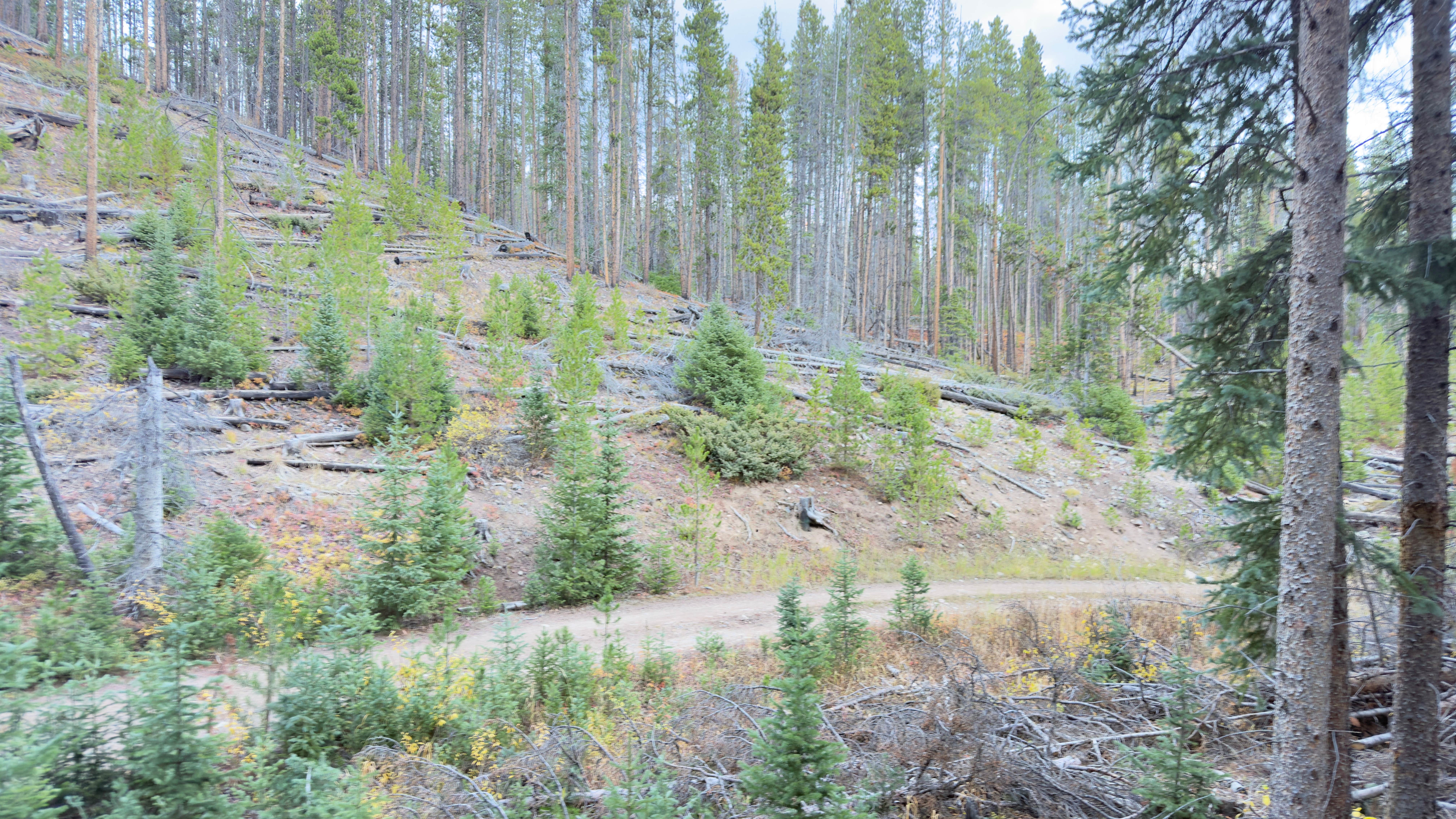 Camper-submitted photo at Miners Creek Rd Designated Dispersed Camping near Copper Mountain, CO