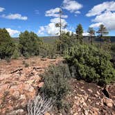 Review photo of Mingus Mountain - FR 132 by Tommy R., October 23, 2026