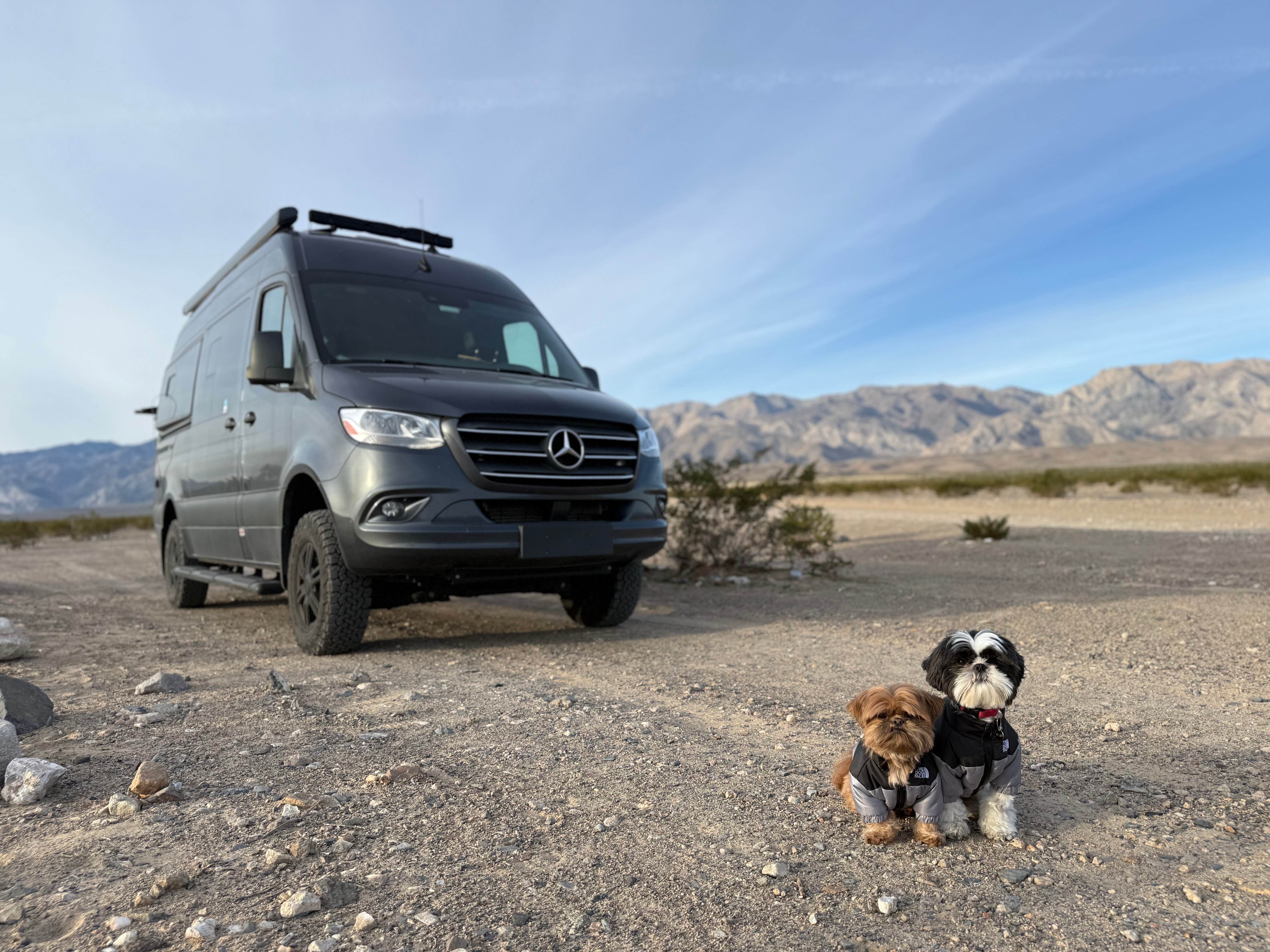 Mary B.'s photo of camping with pets at Minietta Road near Death Valley National Park