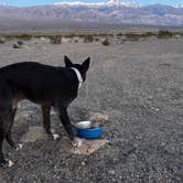 Review photo of Minietta Road by TJ B., January 11, 2026