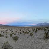 Review photo of Minietta Road by Mary B., December 22, 2025