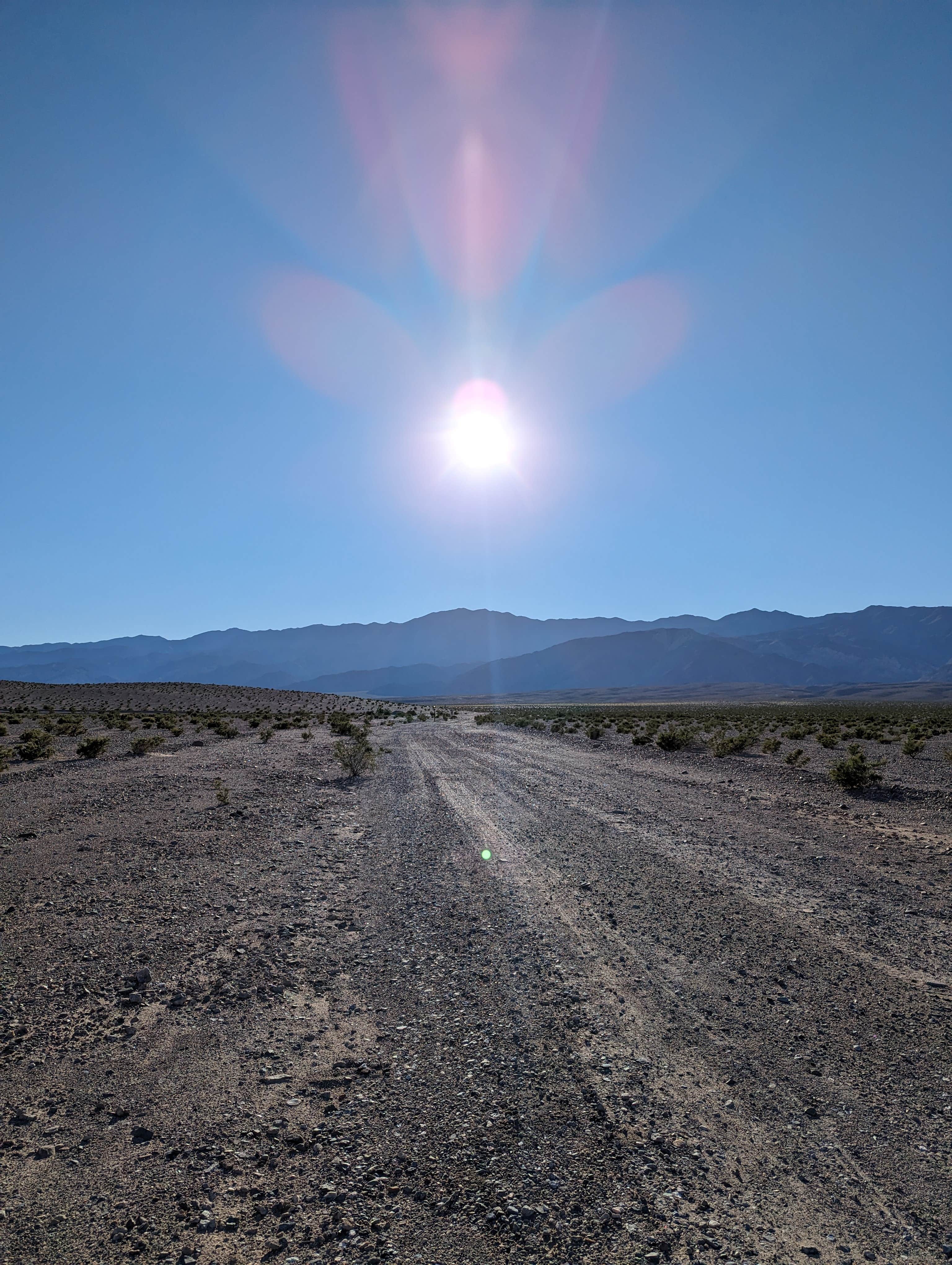Kristi D.'s photo of a dispersed camping area at Minietta Road near Trona, CA