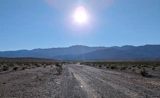 Kristi D.'s photo of a dispersed camping area at Minietta Road near Death Valley National Park