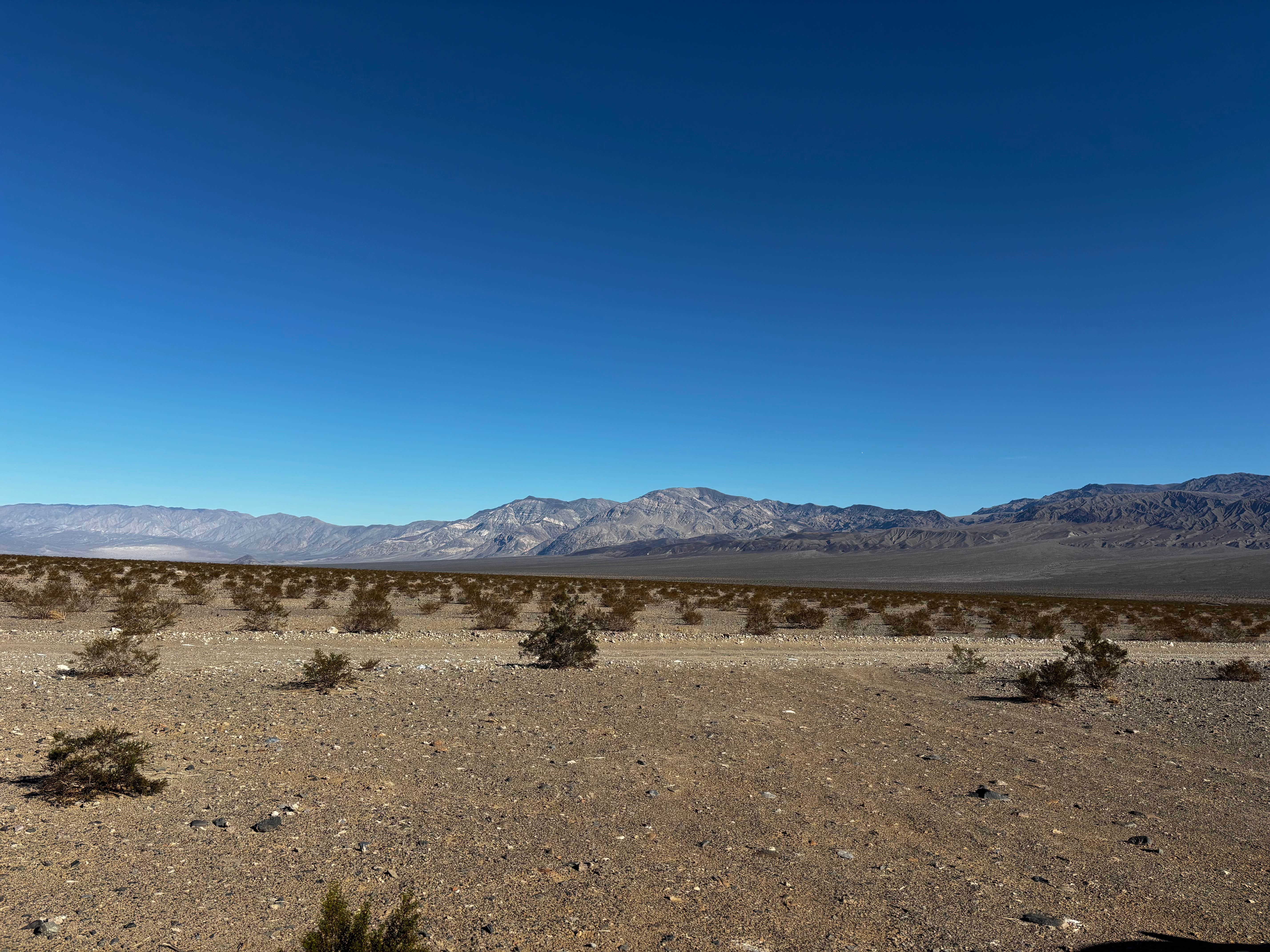 Camper-submitted photo at Minietta Road near Inyokern, CA