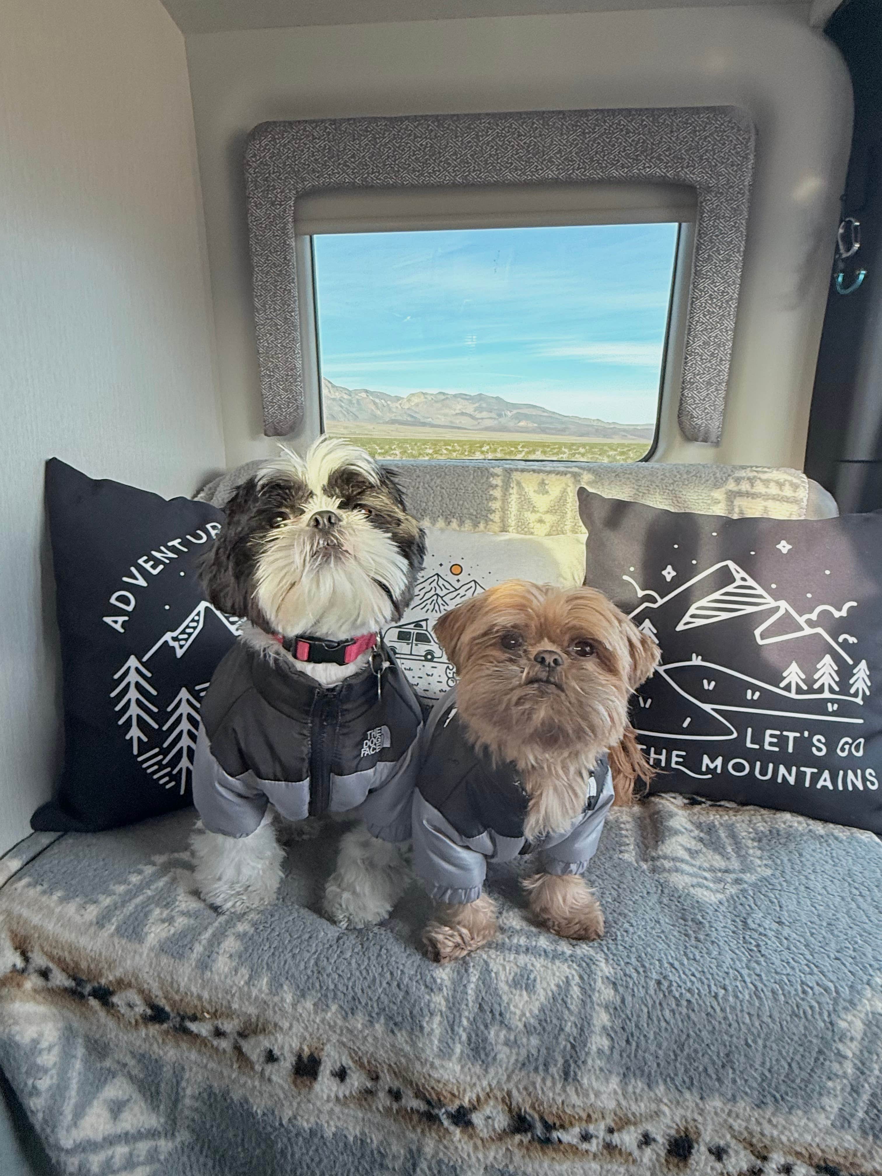 Camper-submitted photo at Minietta Road near Darwin, CA