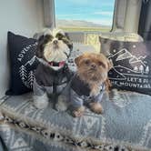 Review photo of Minietta Road by Mary B., December 22, 2025