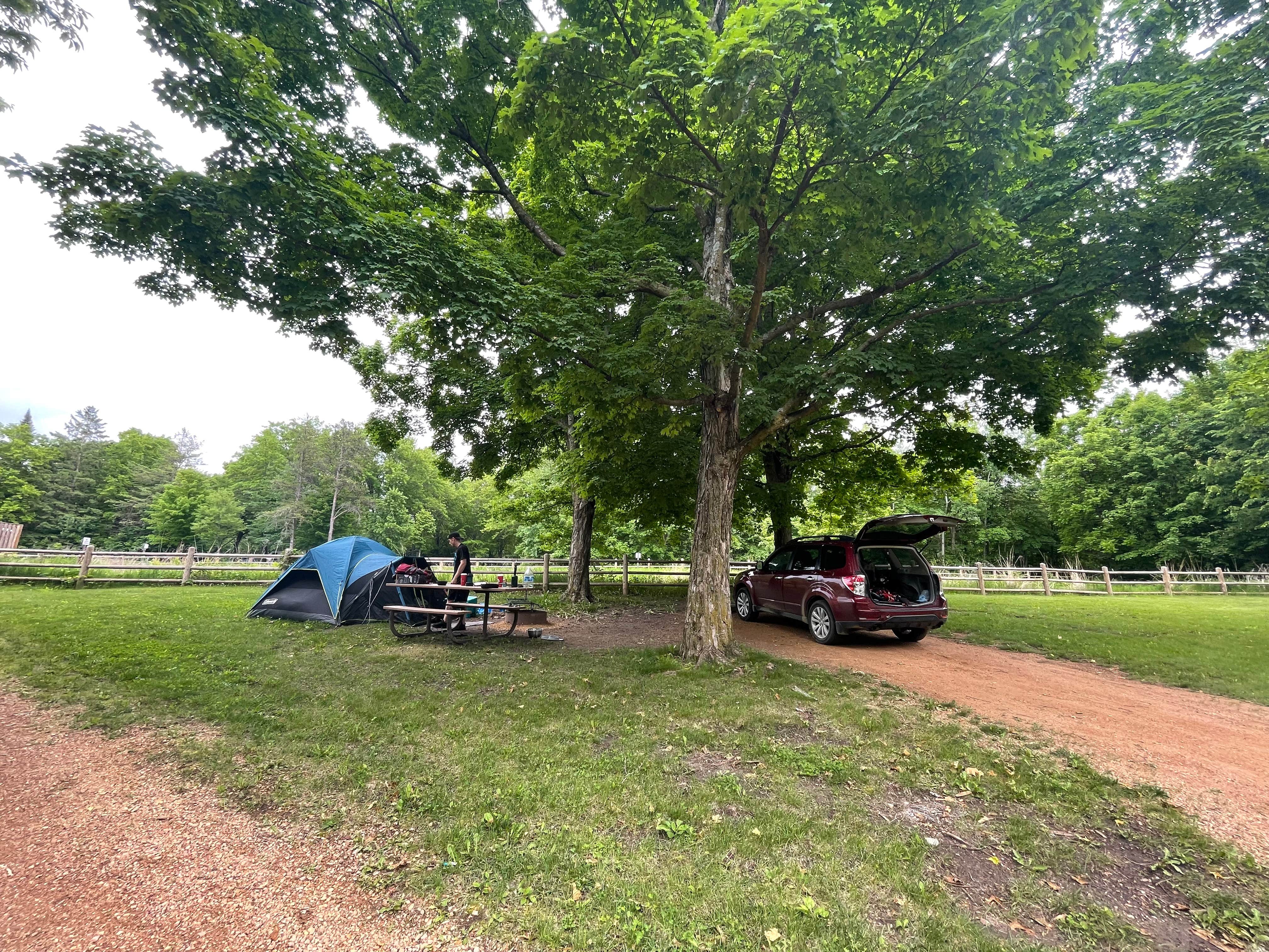 Alison O.'s photo at Baker Campground - Baker Park Reserve near Maple Grove, MN