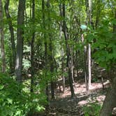 Review photo of Baker Campground - Baker Park Reserve by Alison O., July 1, 2025