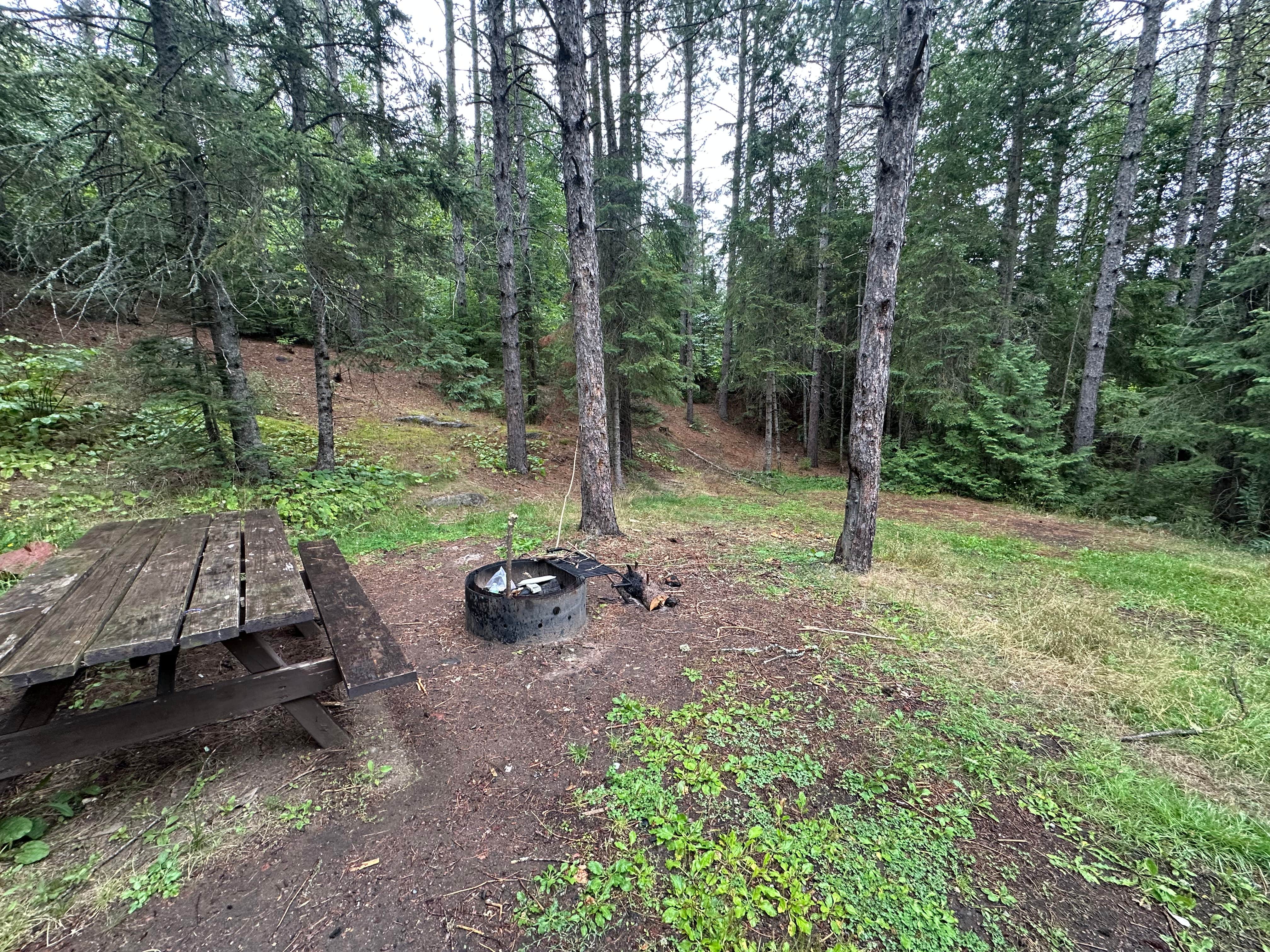 Camping near Two Island Lake Campground: Ball Club Lake, Grand Marais, Minnesota