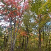 Review photo of Banning State Park Campground by Emelia O., June 15, 2024