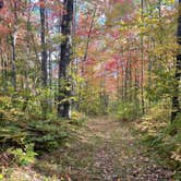 Review photo of Banning State Park Campground by Emelia O., June 15, 2024