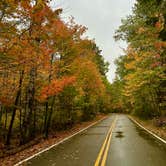 Review photo of Bear Head Lake State Park Campground by Brady J., October 24, 2023