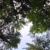 Review photo of Bear Head Lake State Park Campground by Judy M., July 2, 2026
