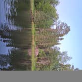 Review photo of Bear Head Lake State Park Campground by Judy M., July 2, 2026