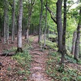 Review photo of Beaver Creek Valley State Park Campground by Tom , September 19, 2024