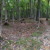 Review photo of Beaver Creek Valley State Park Campground by Tom , September 19, 2024