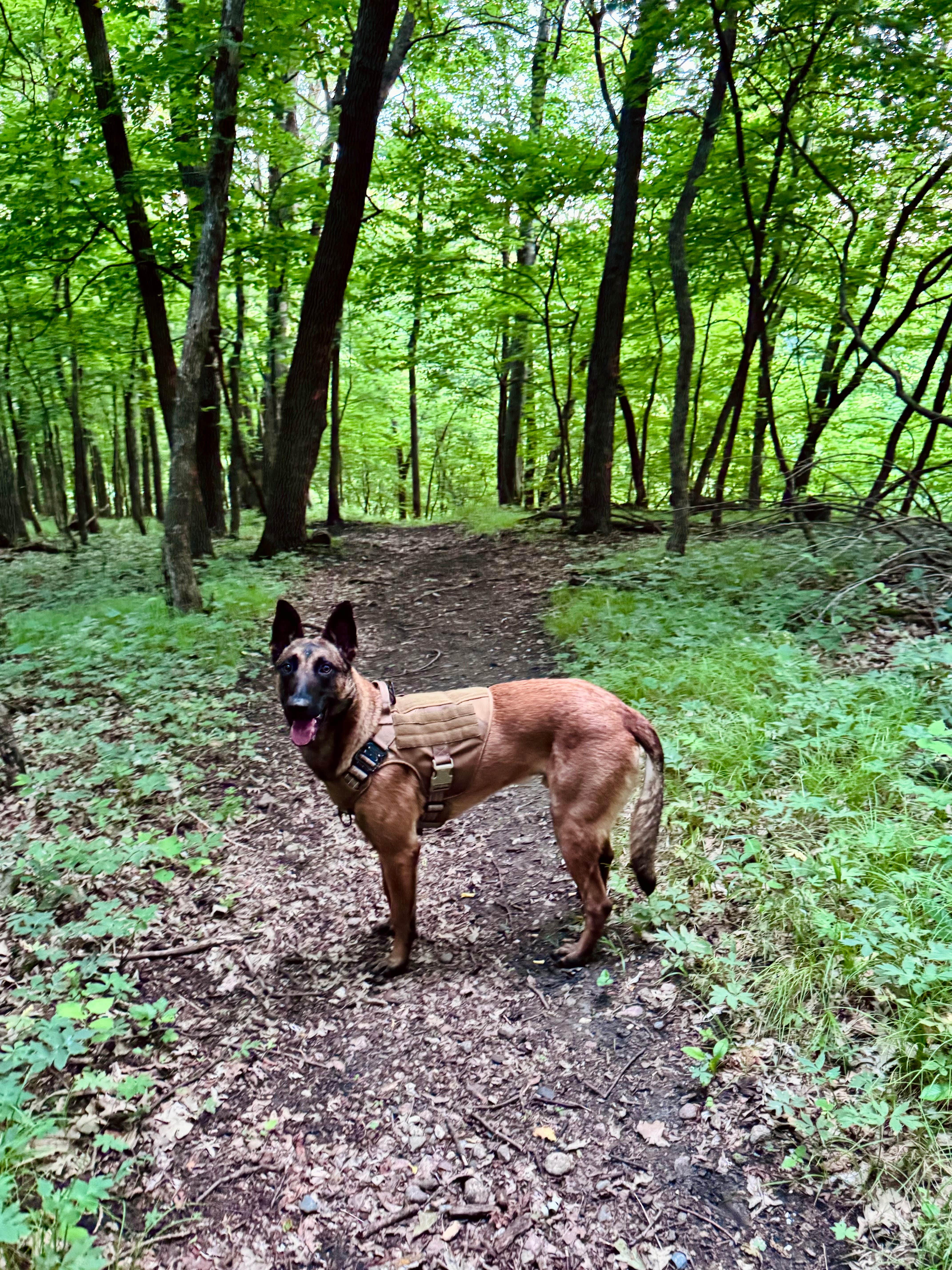 Camper-submitted photo at Beaver Falls County Park near Willmar, MN
