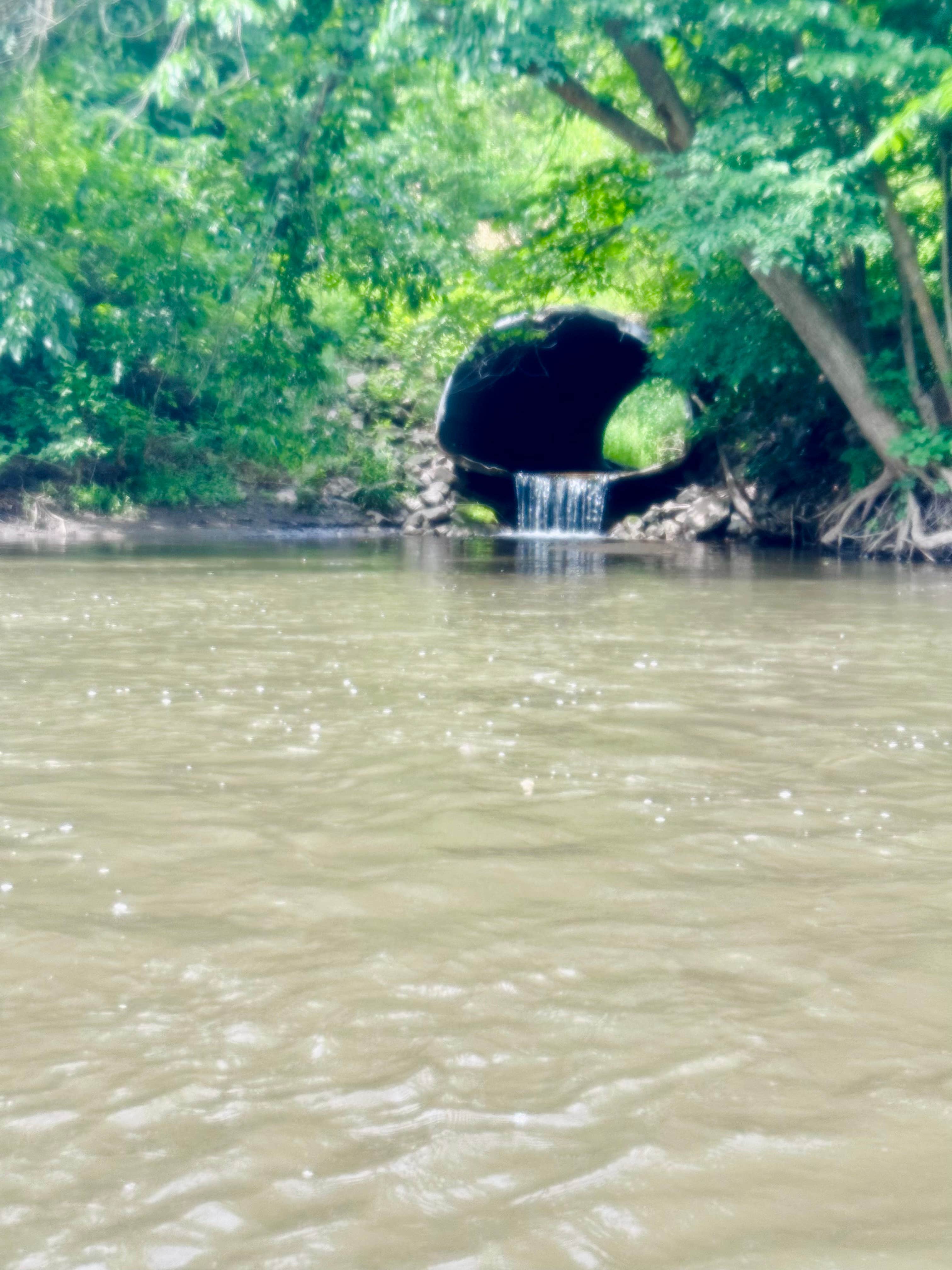Camper-submitted photo at Beaver Falls County Park near Willmar, MN