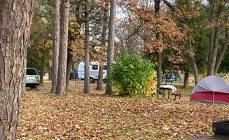 Janet R.'s photo at Big Bog State Recreation Area Campground near Birchdale, MN
