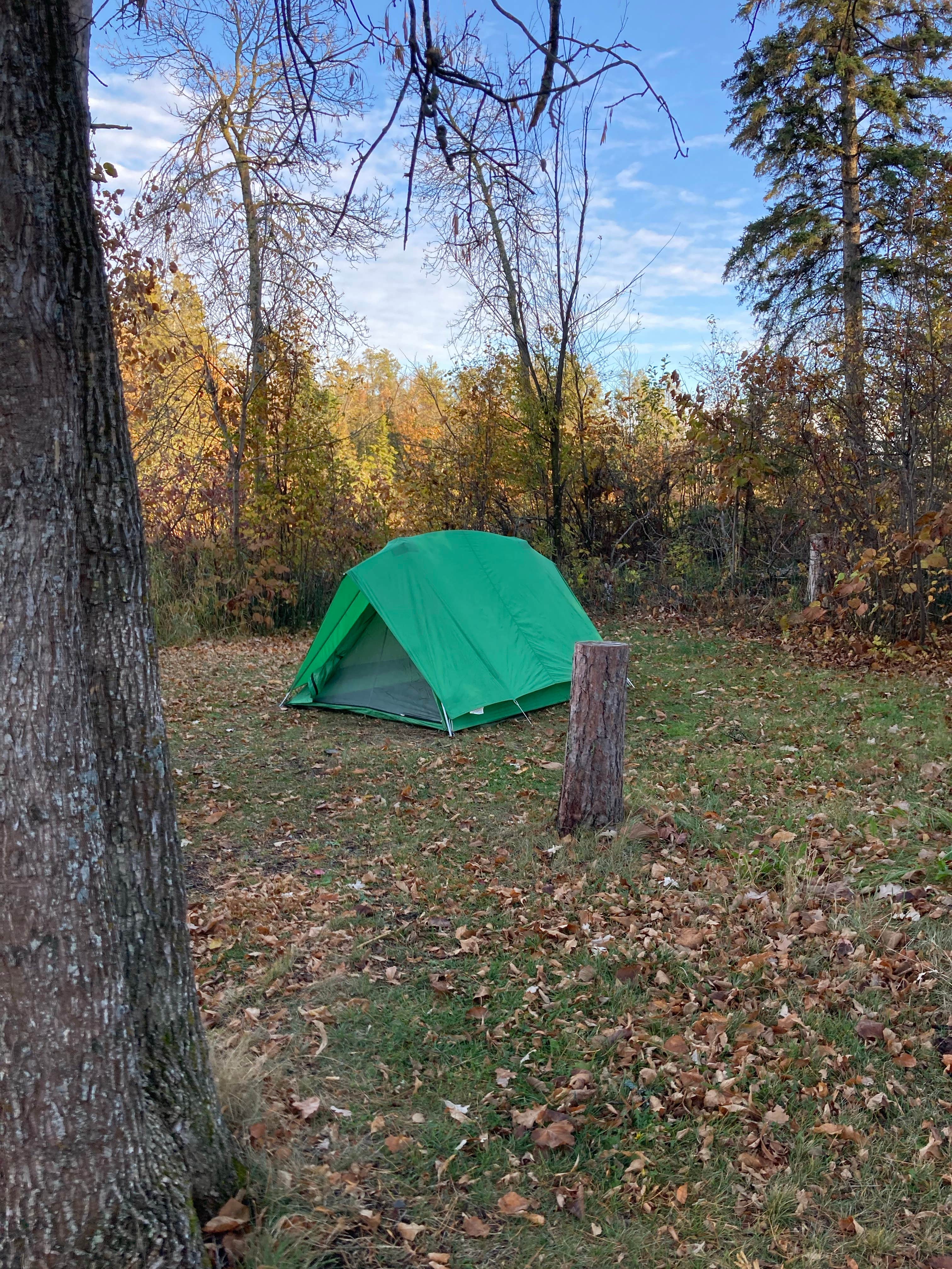 Janet R.'s photo at Big Bog State Recreation Area Campground near Birchdale, MN