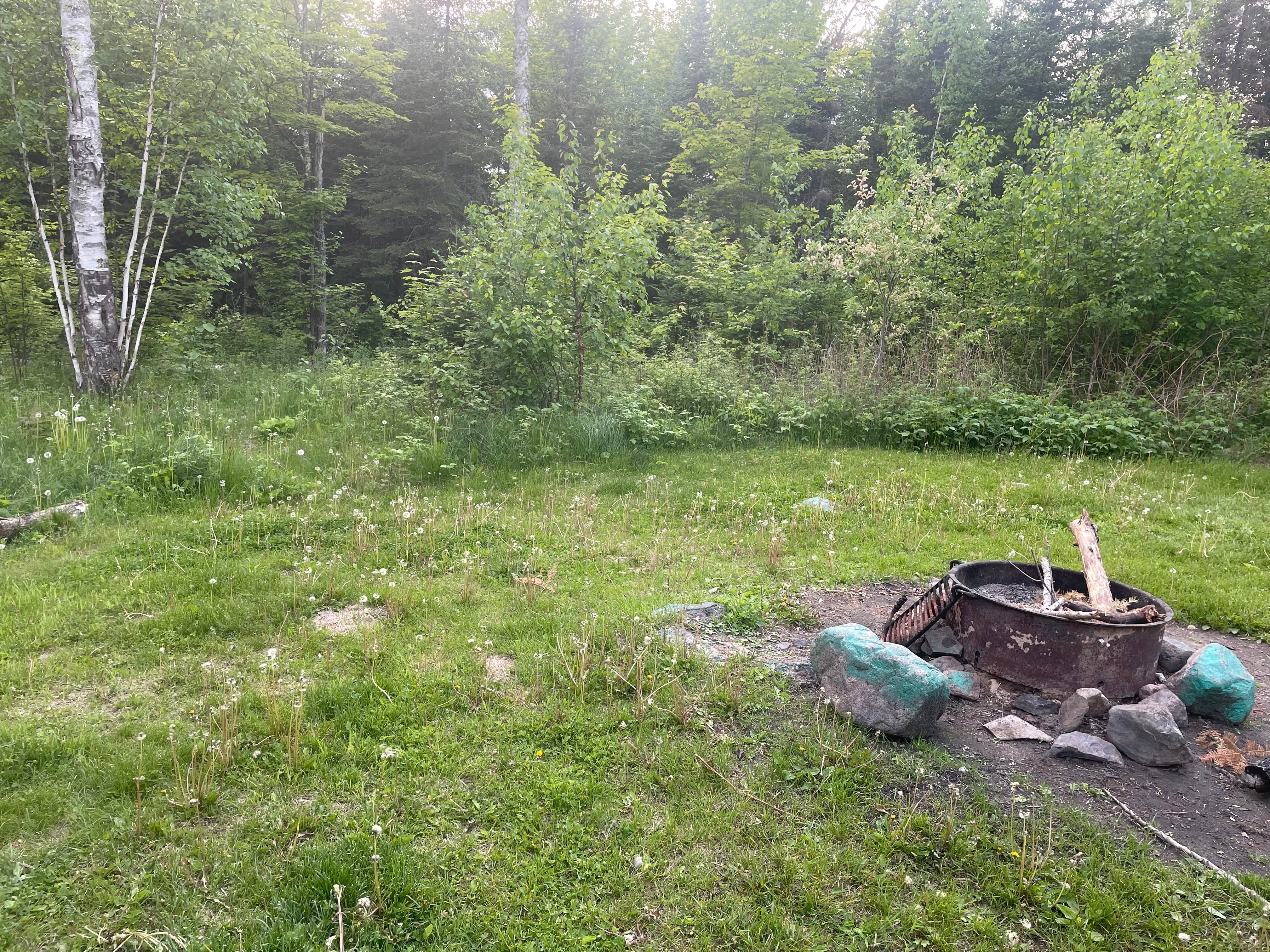 Camper submitted image from Big Rice Lake - 1