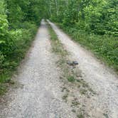 Review photo of Big Rice Lake by Truly W., July 1, 2025