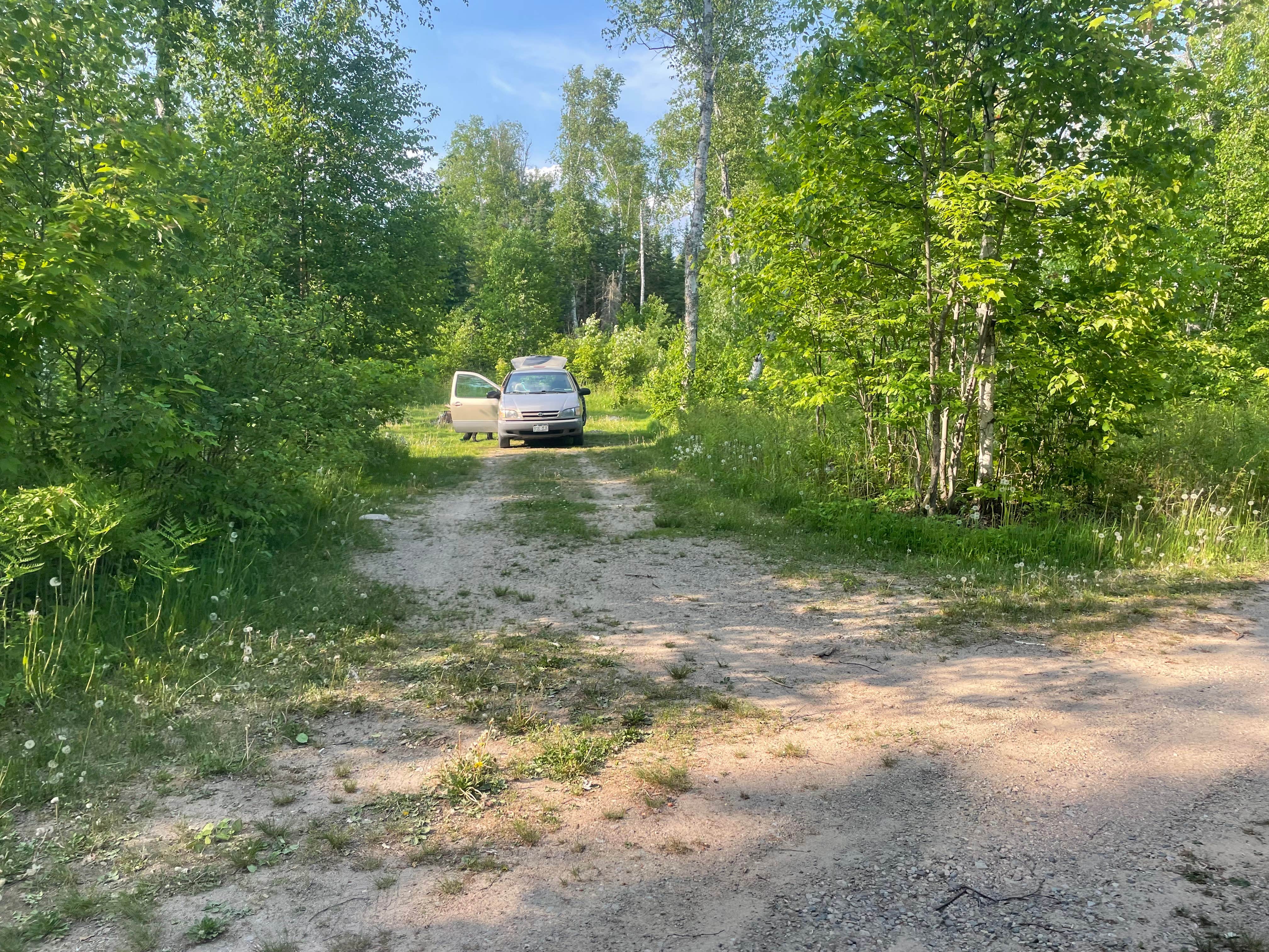 Camper-submitted photo at Big Rice Lake near Eveleth, MN