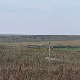 Review photo of Blue Mounds State Park Campground by Erick C., September 14, 2025