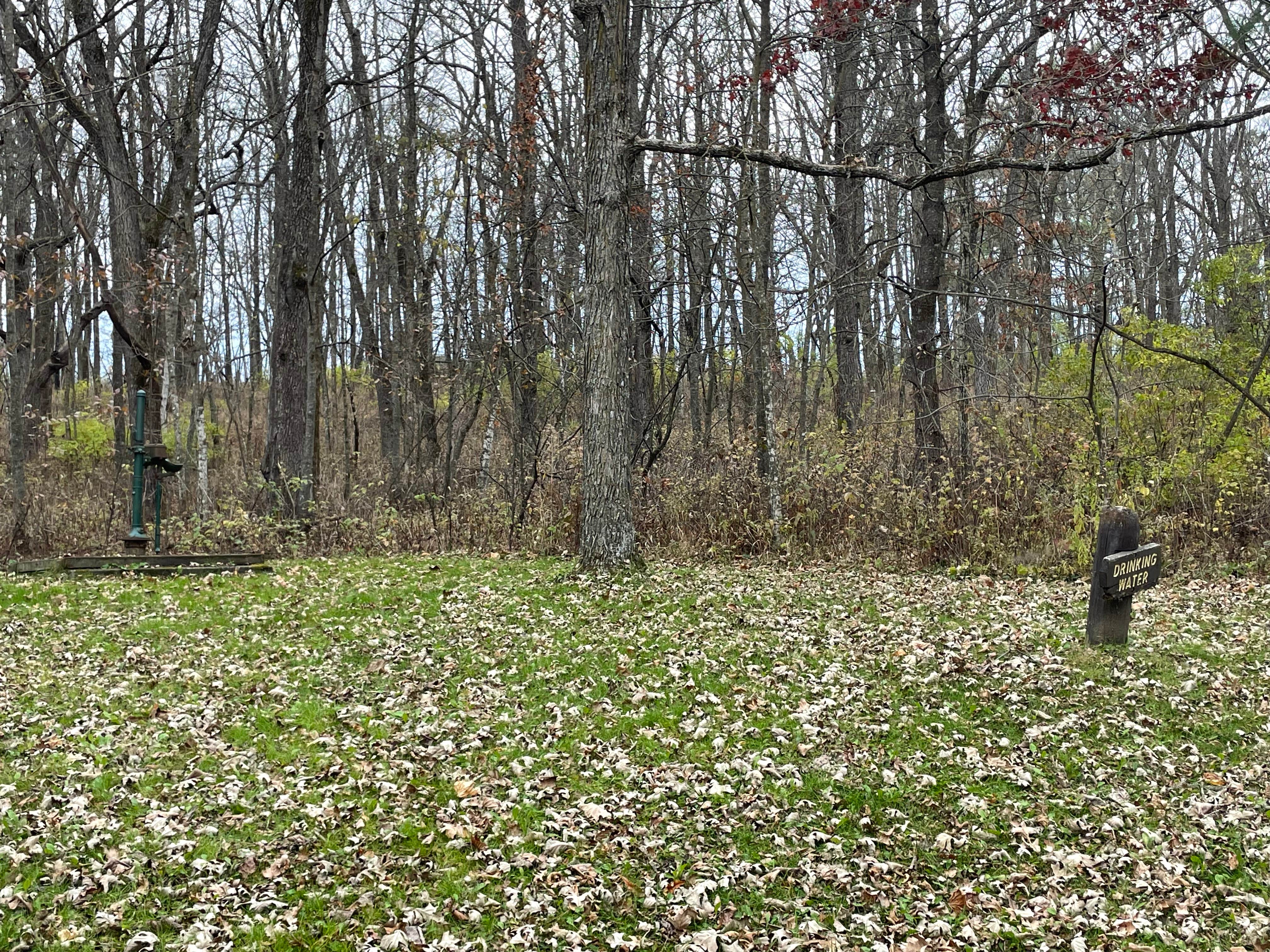 Camper-submitted photo at Carley State Park Campground near Alma, WI