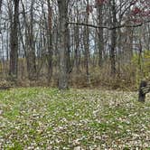 Review photo of Carley State Park Campground by Crystal B., October 29, 2025