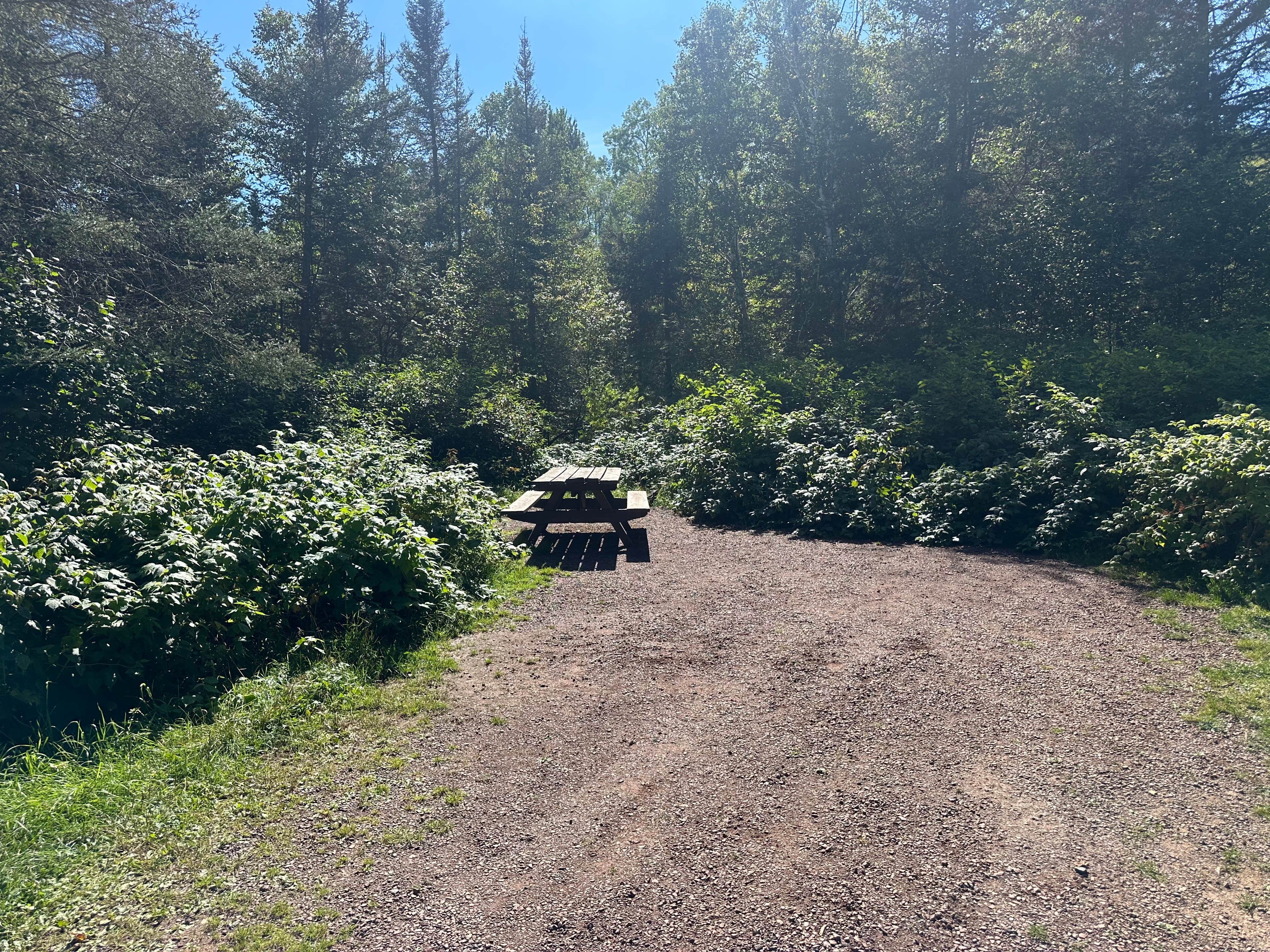 Camper-submitted photo at Cascade River Rustic Campground near Grand Portage, MN