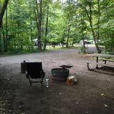 Review photo of Charles A. Lindbergh State Park Campground by The Rolling Panda  .., July 16, 2025