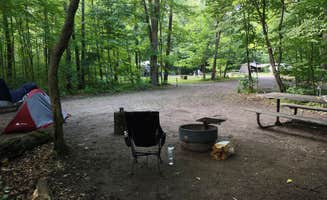 The Rolling Panda ..'s photo at Charles A. Lindbergh State Park Campground in Minnesota