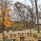 Review photo of Chester Woods Park by Crystal B., October 29, 2025