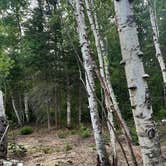 Review photo of East Bearskin Lake Campground by Alexis R., July 23, 2025