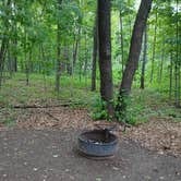 Review photo of Father Hennepin State Park Campground by Crystal R., June 12, 2026