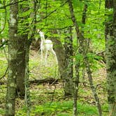 Review photo of Father Hennepin State Park Campground by Teresa T., June 2, 2024