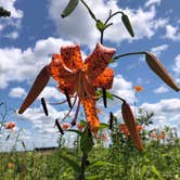 Review photo of Fort Ridgely State Park Campground by Tom , July 30, 2024