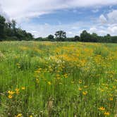 Review photo of Fort Ridgely State Park Campground by Tom , July 30, 2024