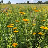 Review photo of Fort Ridgely State Park Campground by Tom , July 30, 2024