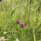 Review photo of Fort Ridgely State Park Campground by Tom , July 30, 2024