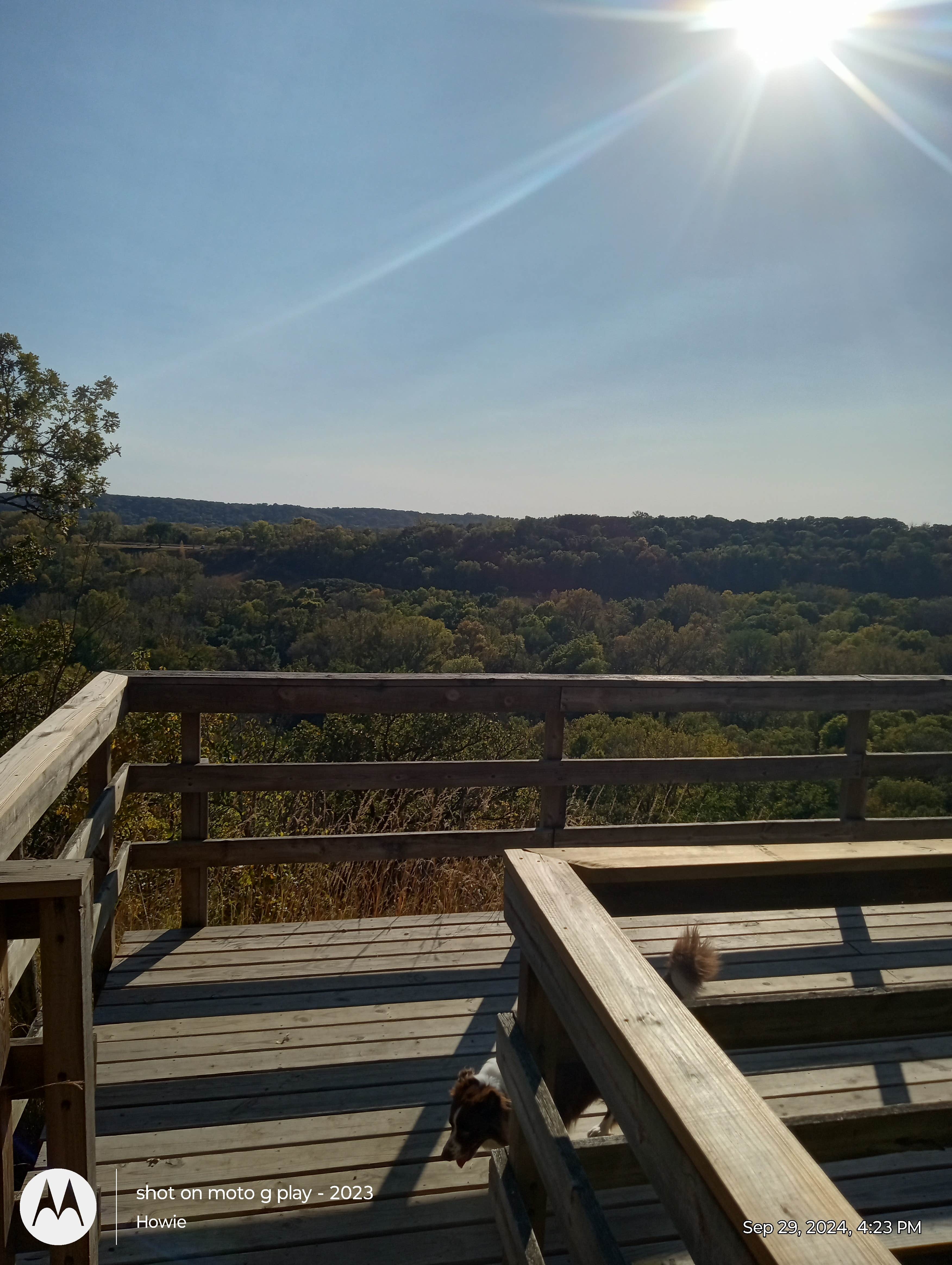 Eric D.'s photo of camping with pets at Fort Ridgely State Park Campground near Comfrey, MN