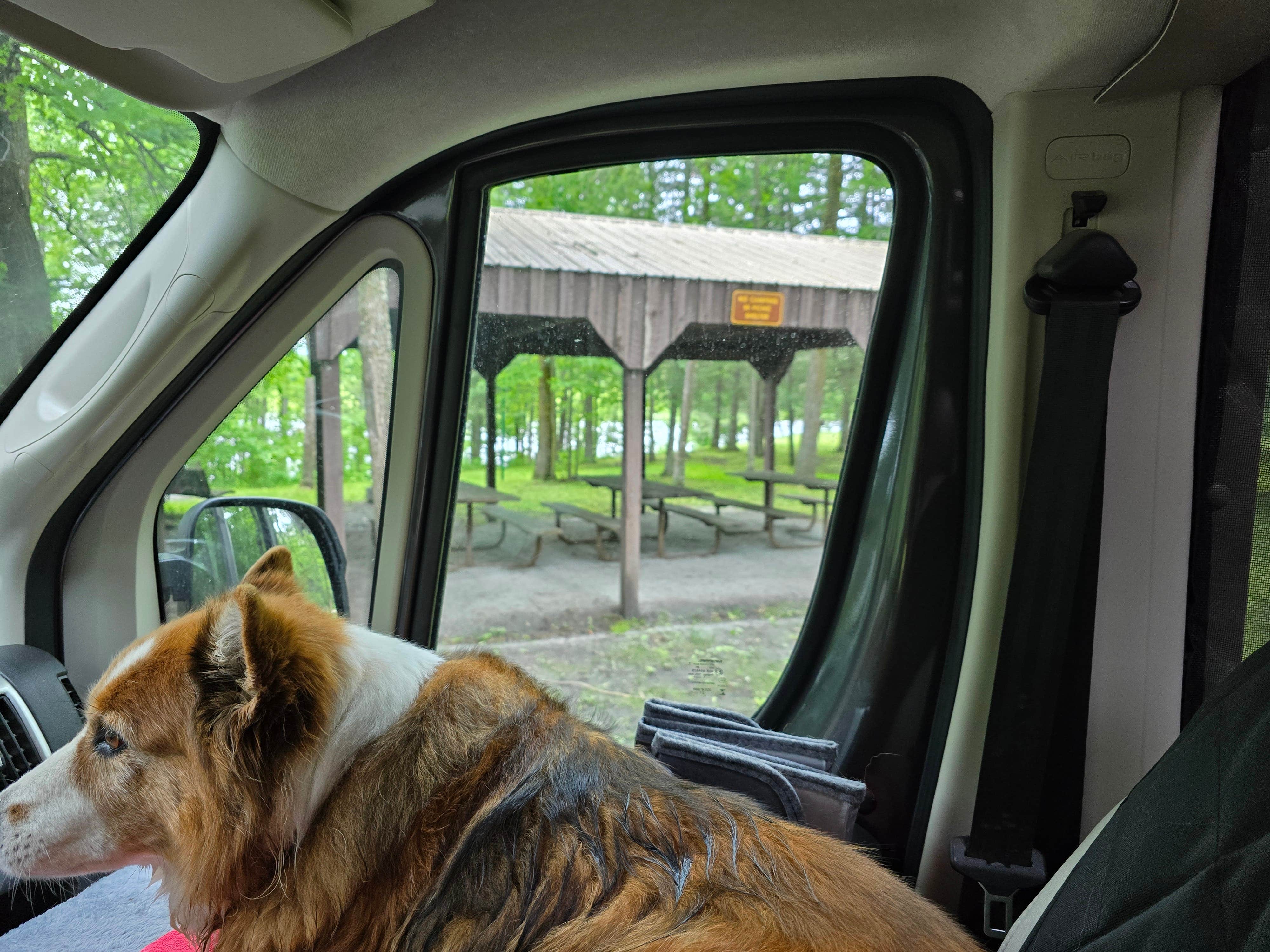 Teresa T.'s photo of camping with pets at Franz Jevne State Park Campground near Birchdale, MN