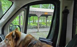 Teresa T.'s photo of camping with pets at Franz Jevne State Park Campground near Ranier, MN