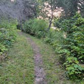 Review photo of Franz Jevne State Park Campground by bass C., July 3, 2026