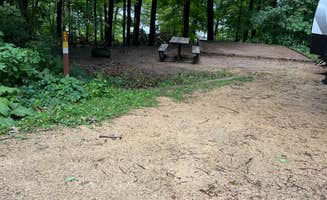 Maria D.'s photo at Frontenac State Park Campground near Woodville, WI